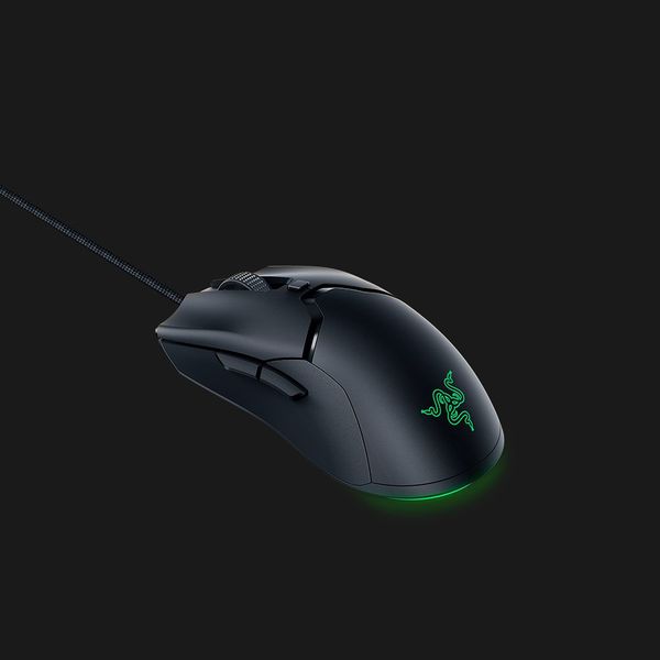 Razer Viper Mini