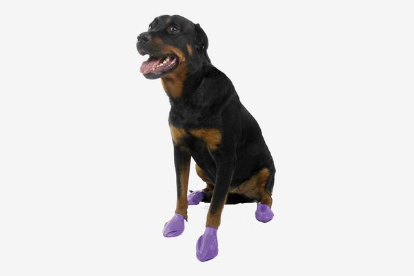 Pawz Waterproof Dog Boot