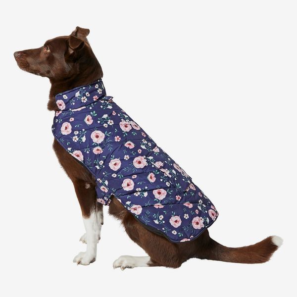 Frisco Patterned Floral Insulated Dog & Cat Puffer Coat