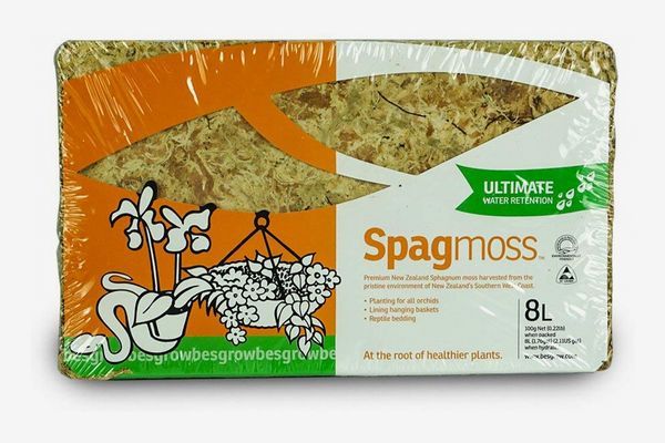 besgrow Dried New Zealand Sphagnum Moss (100 grams)