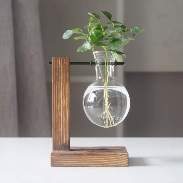 Magiin Plant Terrarium Transparent with Wooden Stand