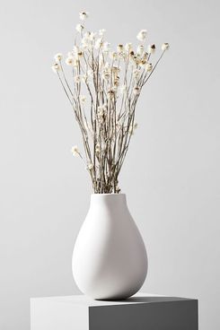 West Elm Dried Winged Everlasting Flowers