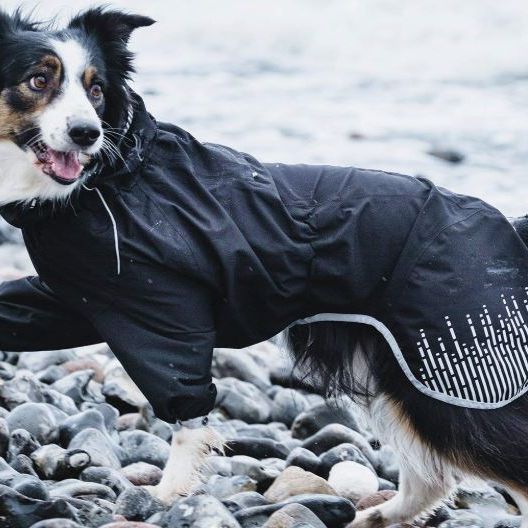 Hurtta Rain Blocker Dog Raincoat