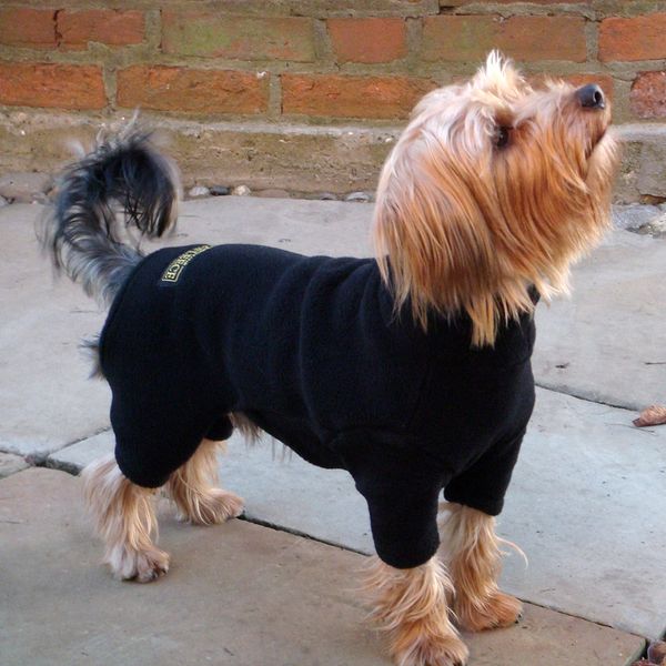 Equafleece Dog Suit