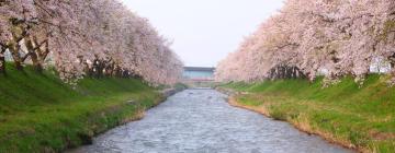 Vacaciones baratas en Toyama