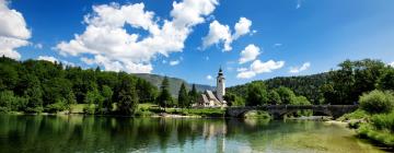 Car hire in Bohinj