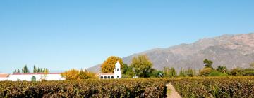 Hoteles en Cafayate