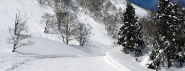 Unterkünfte mit Onsen in Yuzawa