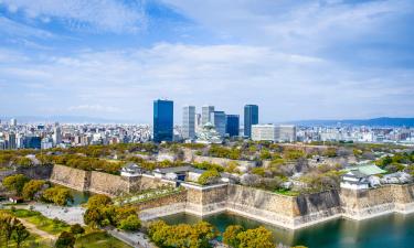 Voli da Kagoshima a Osaka