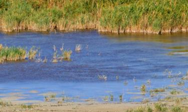 Bílaleigur í Neusiedl am See