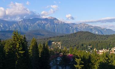 Guest Houses in Predeal