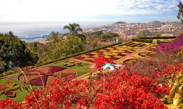 Flights from Caracas to Funchal