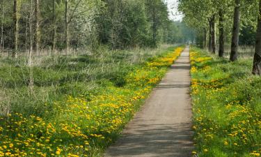 in Veendam सस्ते हॉलिडे