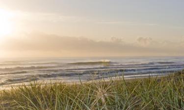 Hoteles de playa en Siesta Key