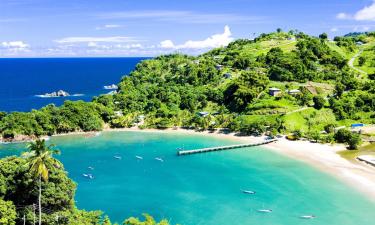 Flights from Port-of-Spain to Scarborough