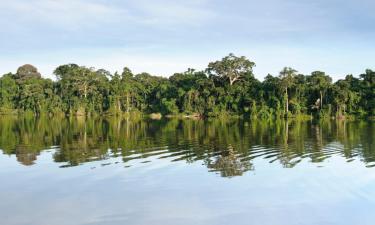 Se hva du kan gjøre i Tarapoto