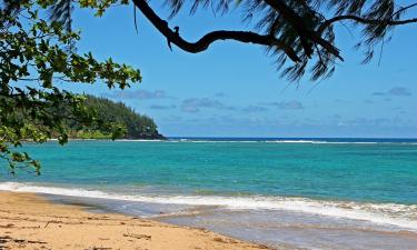 Vacanze economiche all’Isola di Tanna