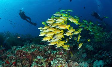 Kuurordid sihtkohas Dhaalu Atoll