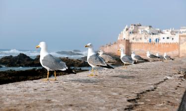 Hotellit kohteessa Laayoune