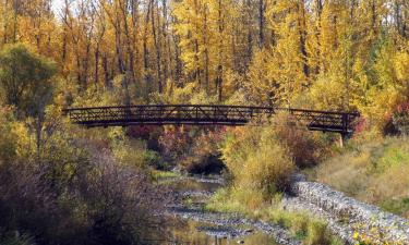 Vols pour Grande Prairie