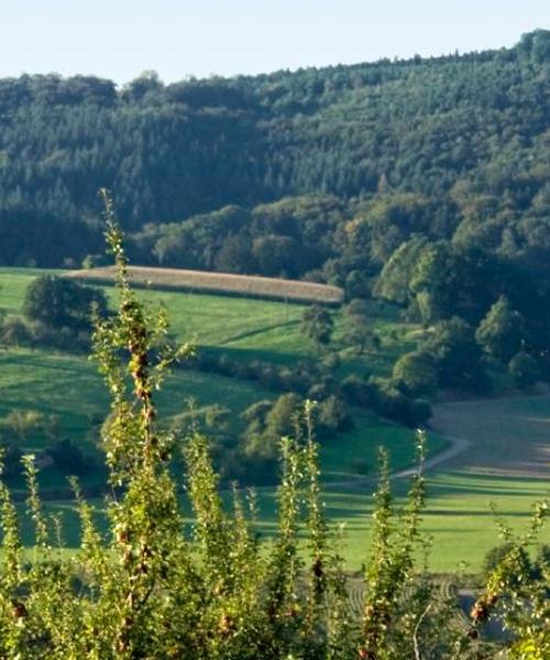 Una bellissima vista di Merzig