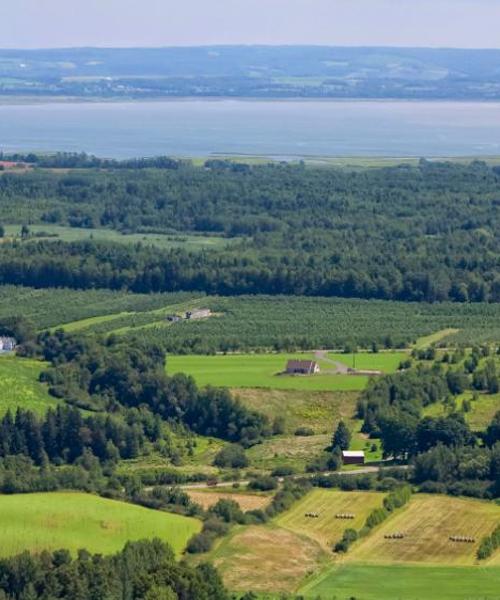 Gražus vietovės Renfrew vaizdas – šis miestas populiarus tarp mūsų vartotojų