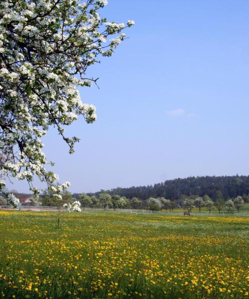 Gražus vietovės Bėblingenas vaizdas