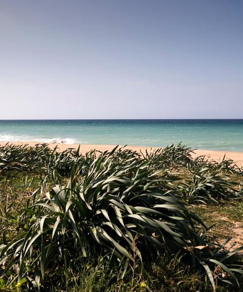 Όμορφη θέα του προορισμού Chiclana de la Frontera