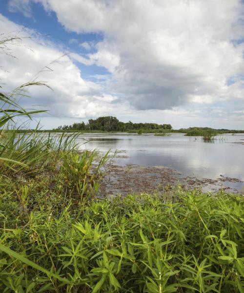 Una bellissima vista di Hardeeville