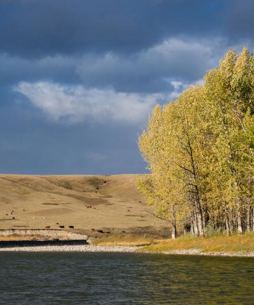 Gražus vietovės High River vaizdas