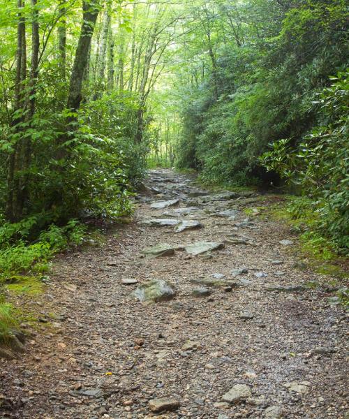 Čudovit pogled na mesto Roanoke Rapids