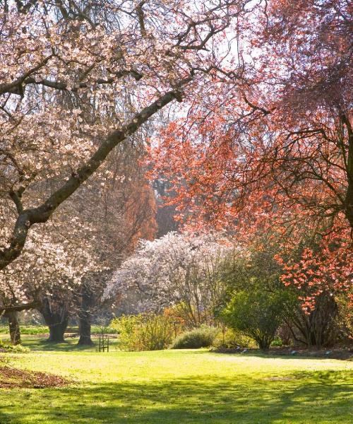 Vista espectacular de Christchurch