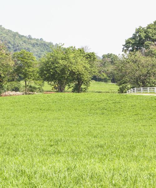 Pemandangan indah bagi Pindamonhangaba