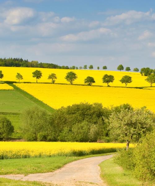 En vacker bild av Hofheim am Taunus