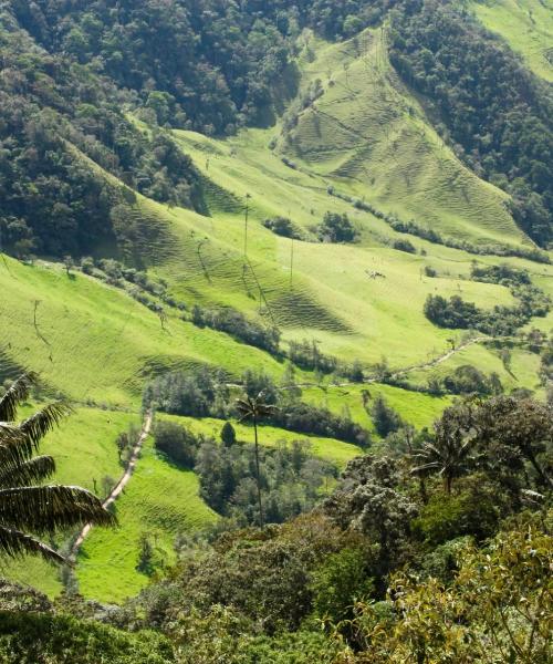 Una panoràmica bonica de El Edén, una ciutat popular entre els nostres usuaris