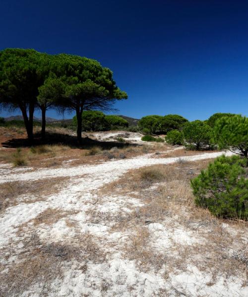 Una panoràmica bonica de Budoni