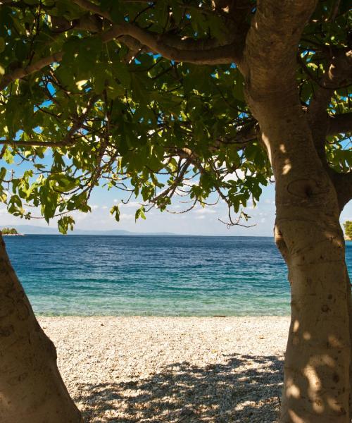 A beautiful view of Panormos Skopelos.