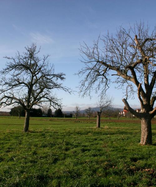 Krásný pohled na město Oberursel