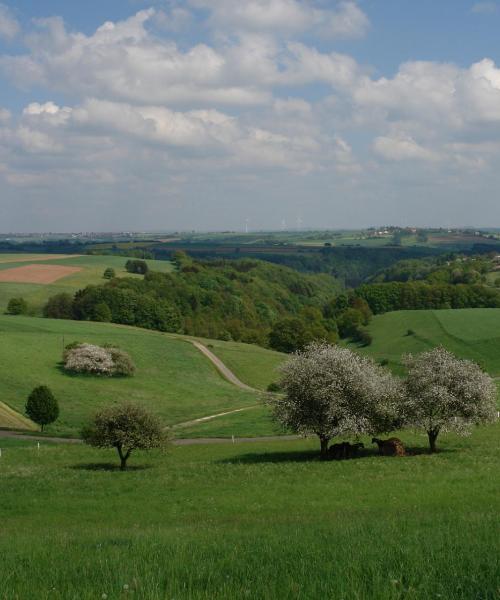 En vacker bild av Neumarkt in der Oberpfalz