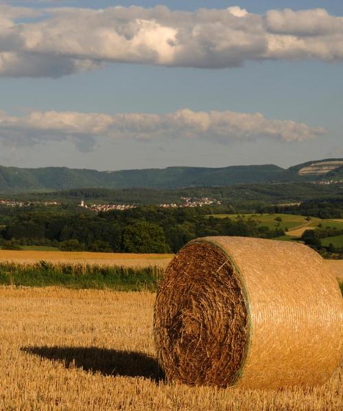 Una bonita panorámica de Geislingen an der Steige