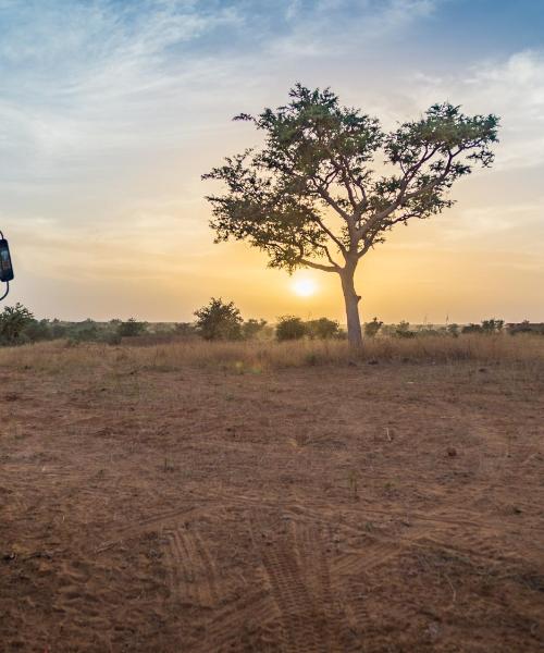 Csodás kilátás Niamey városára