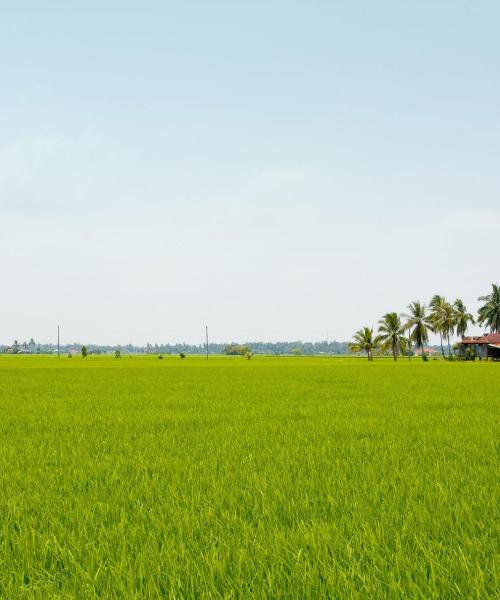 Kaunis näkymä kaupunkiin Puchong