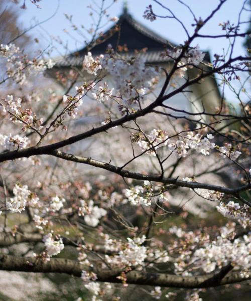 Όμορφη θέα του προορισμού Koriyama