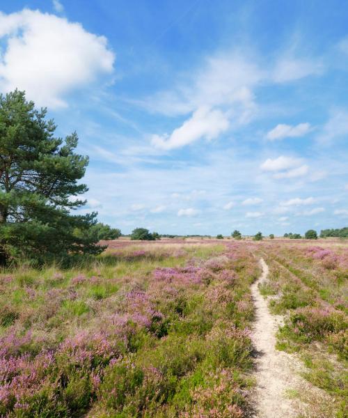 En vacker bild av Papenburg