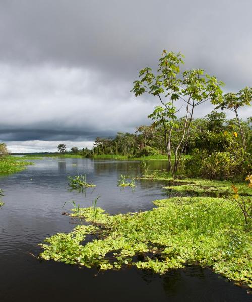 Et flott bilde av Pucallpa