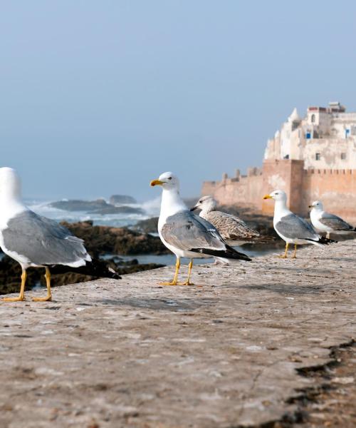 Kaunis näkymä kaupunkiin Laayoune