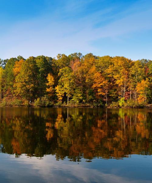 Paisaje espectacular de Wake Forest