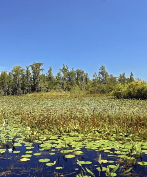 Kaunis näkymä kaupunkiin Waycross