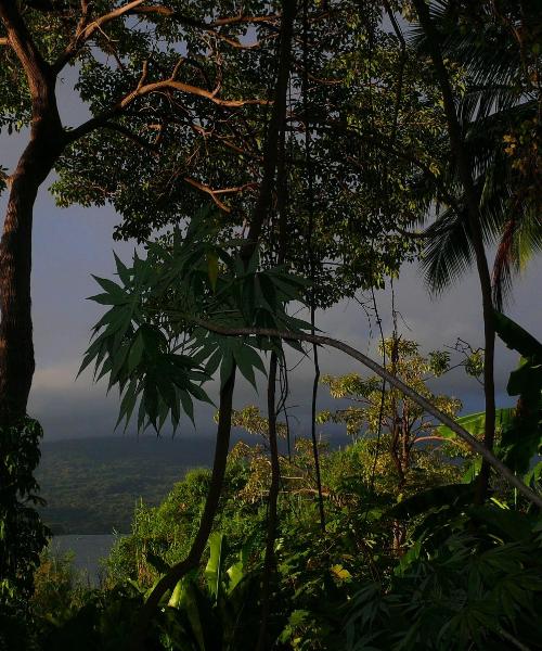 Ein schöner Blick auf Rio do Sul