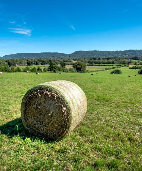 Krásny pohľad na mesto Starkville